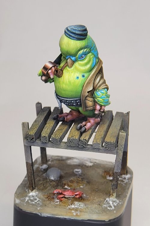 Budgie Pirate