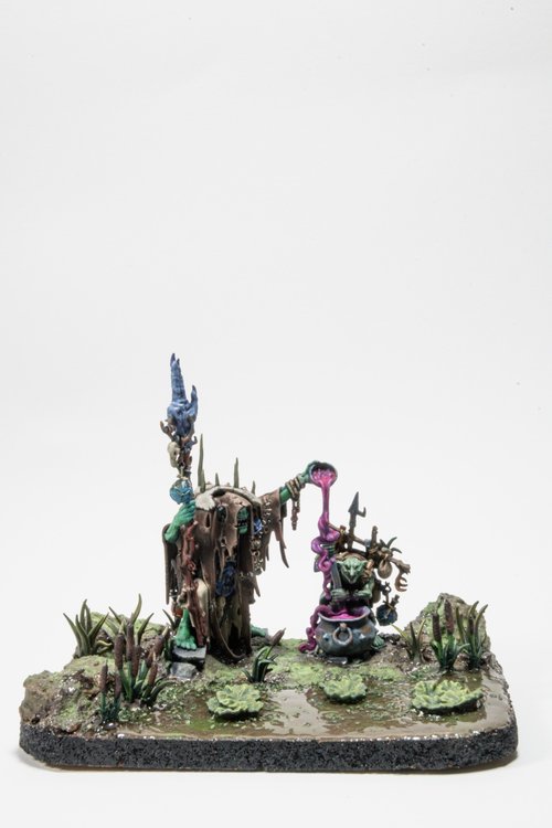 Welcome to our swamp