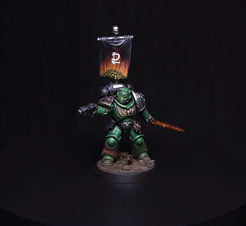 Salamanders Mr. Flame Boy