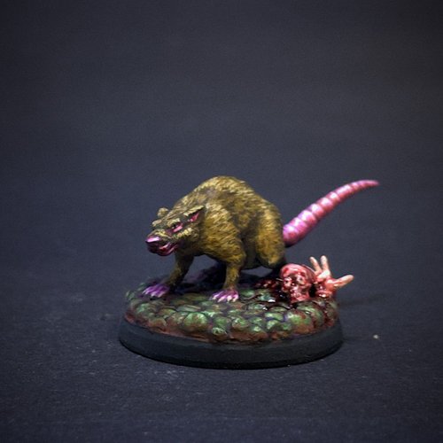 Giant Rat