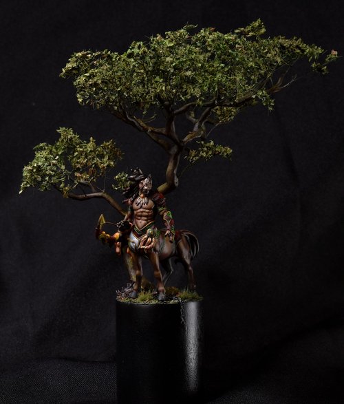 Centaur Druid
