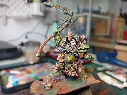 Typhus