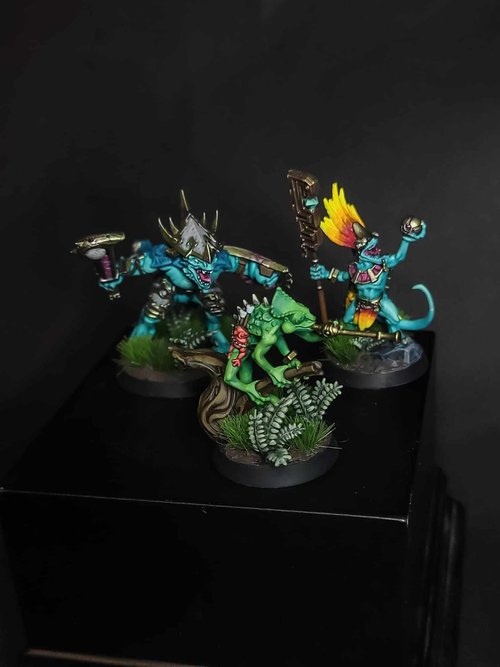 Lizard TEAM