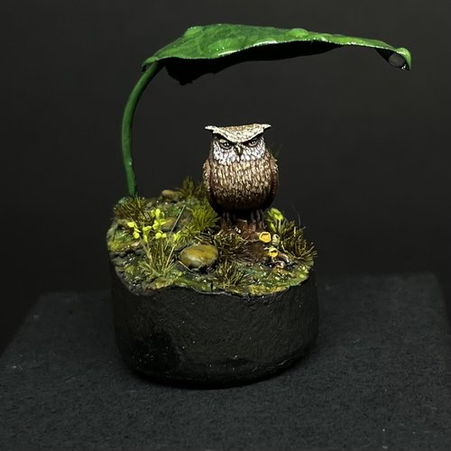 Tiny Grumpy Owl
