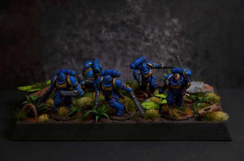 Assault intercessor squad