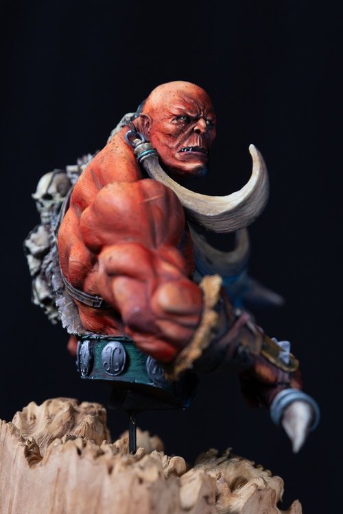 Drogor