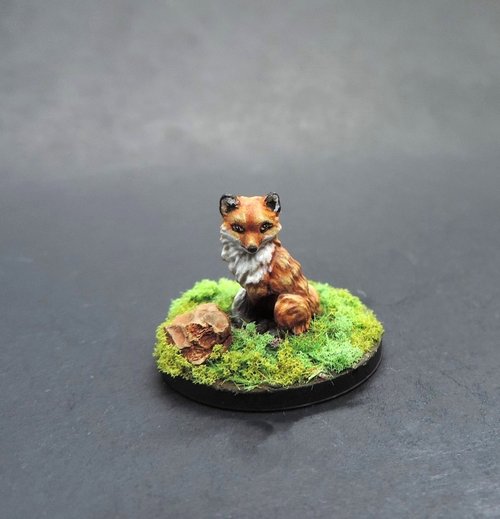 Little red fox