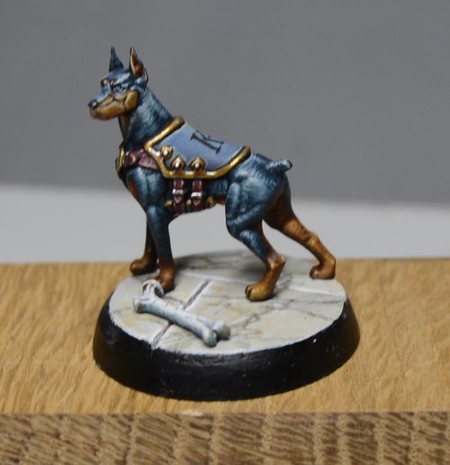 Aximillion K-9