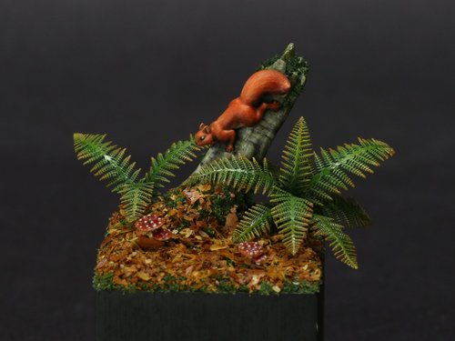 Squirrel
