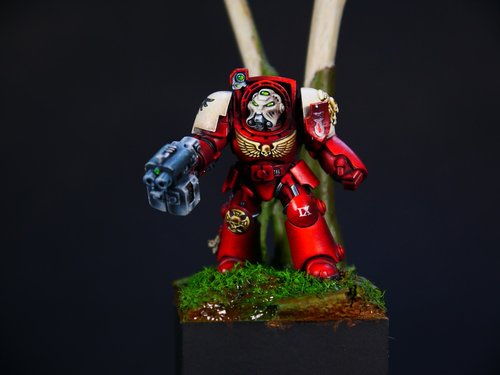 Blood raven terminator