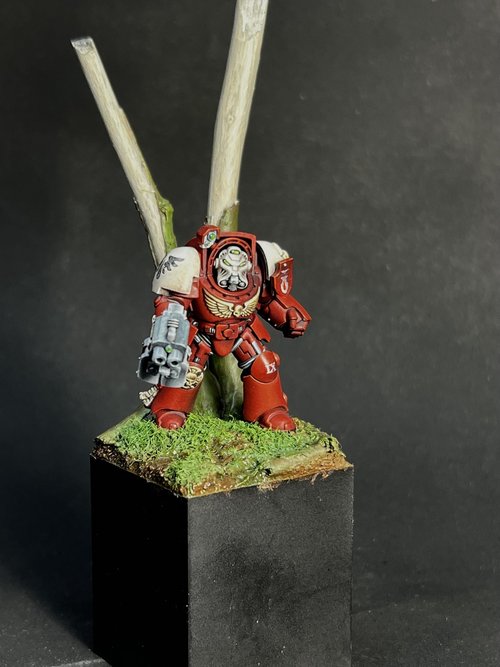 Blood raven terminator