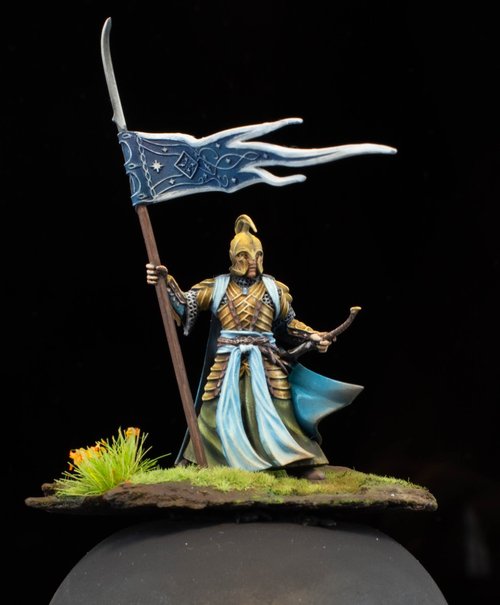 Elven Flagbearer