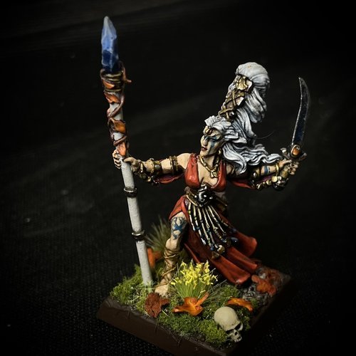 Wood Elf Mage