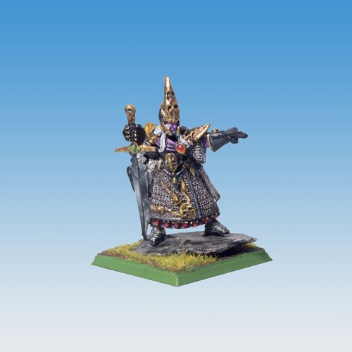 Dark Elf Champion by @kingpaints