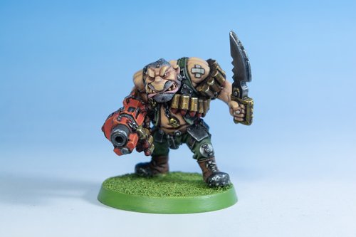 Ogryn