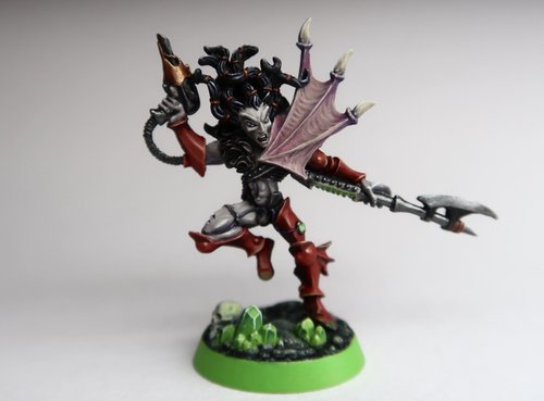 Dark Eldar Beastmaster