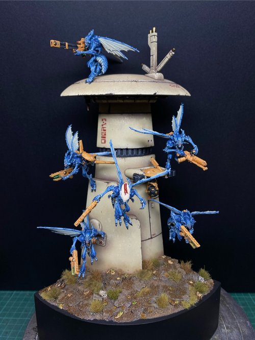 Vespid patrol