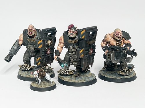 Stealth Ogryns