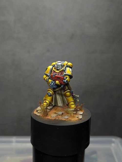 Emports champion with Bolter.