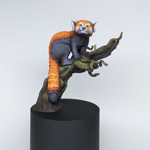 Red Panda