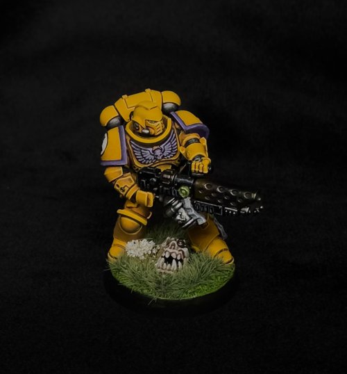 Imperial Fist