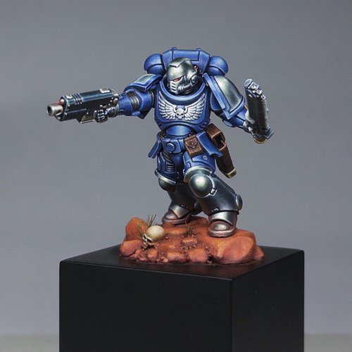 Storm Warden