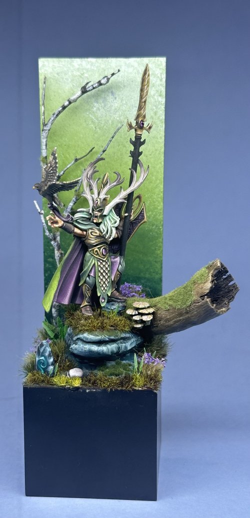 Wood Elf Lord