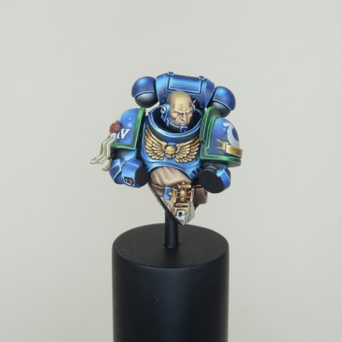 Ultramarine Veteran