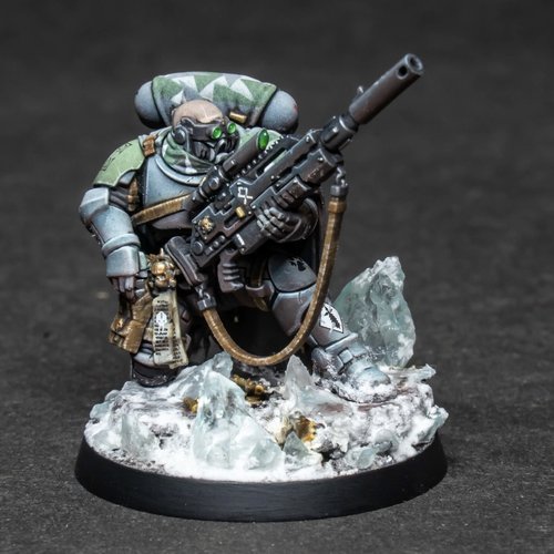 Wolf Scout