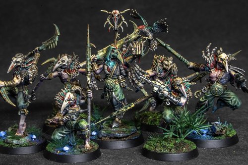 Kroot Talon Tribe