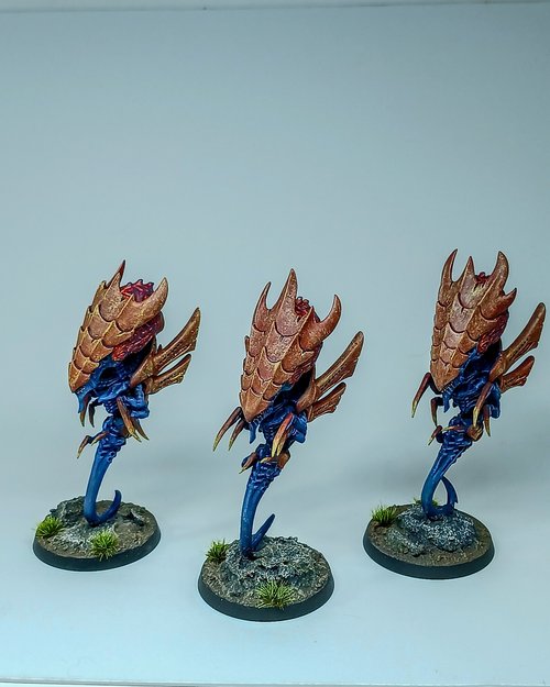 Zoanthrope brood
