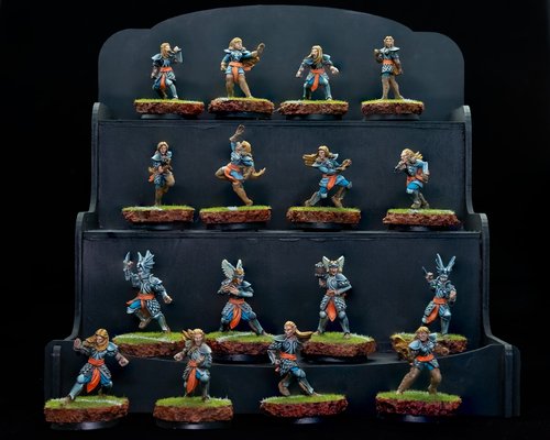 Blood Bowl High Elves Team