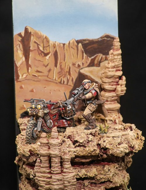 A Shot in the Wastelands