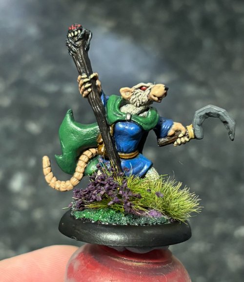 Rat wizard