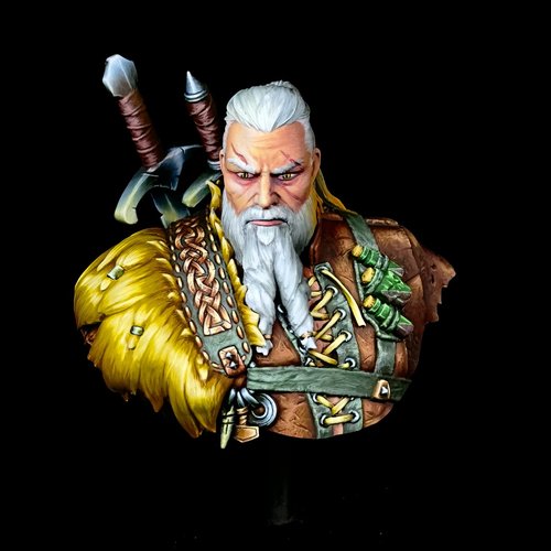 Ragnar the Norse Witcher