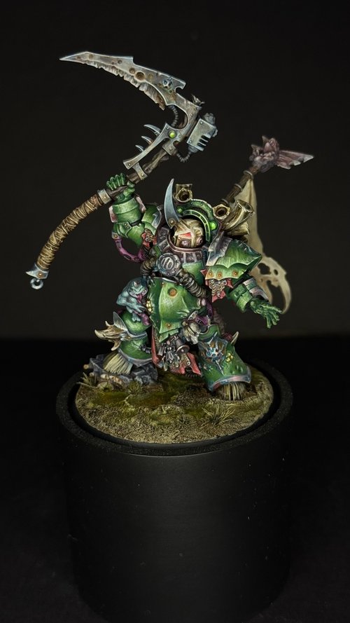 Typhus