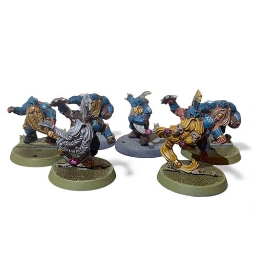 Dwarf Blood Bowl Team
