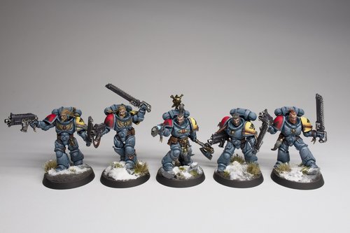 Space Wolves Grey Hunters