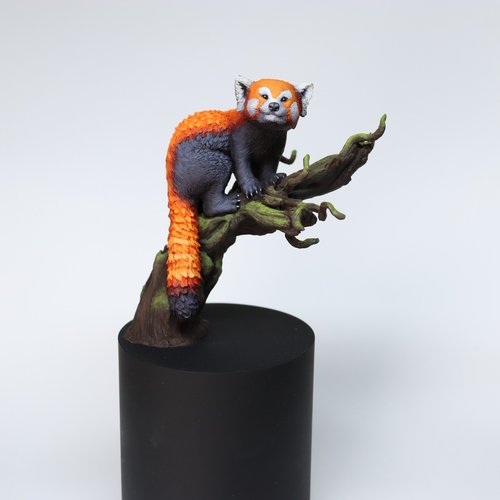 Red Panda on a Tree Branch
