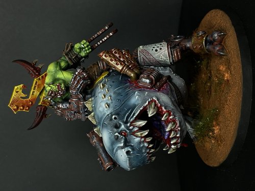 Mozrog’s and The Shark