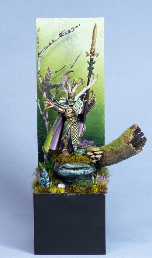Wood Elf Lord