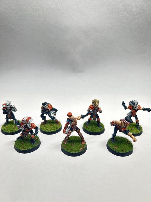 Olden Bloodbowl Elves