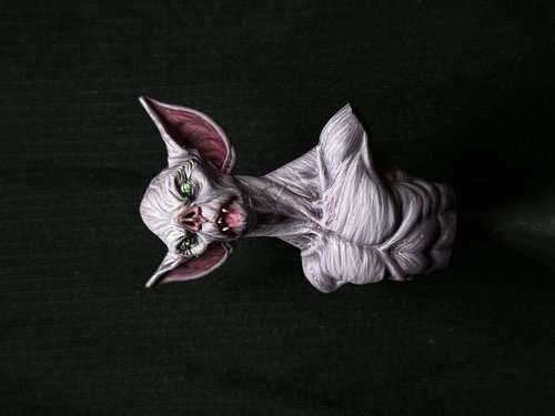 Bat Beast