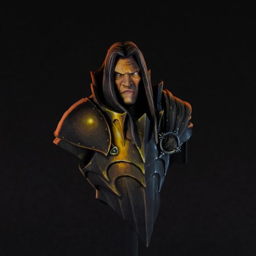The twilight knight