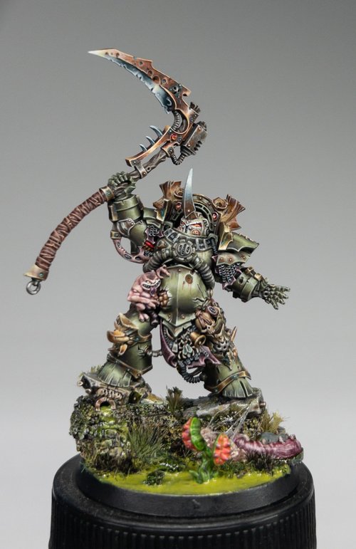 Typhus