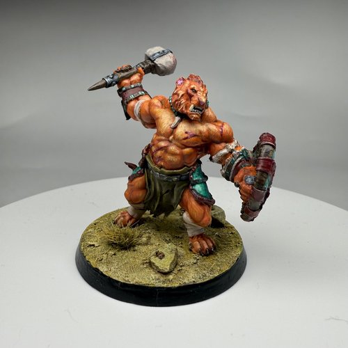 Shimbarashe
