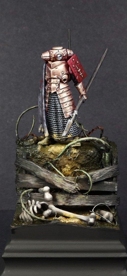 The Observer