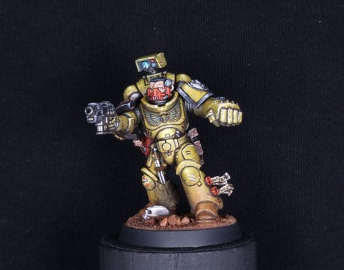 Imperial Fists Sergeant