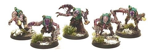 Twisted cult ascendant