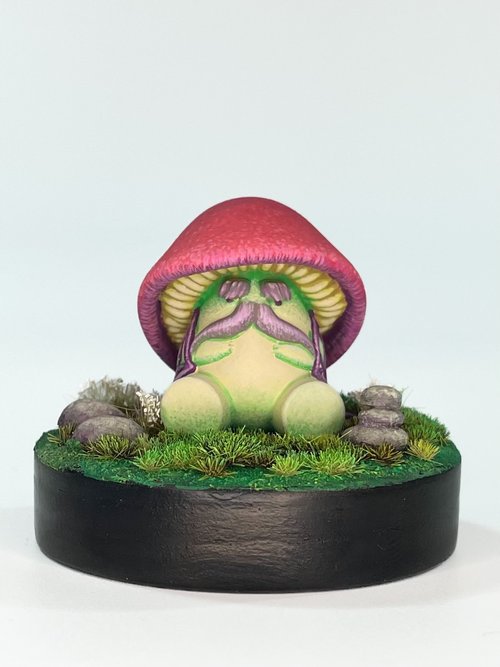 Tiny Mushroom Wizard at rest